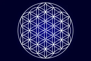 السر القديم لزهرة الحياة الجزء الأول